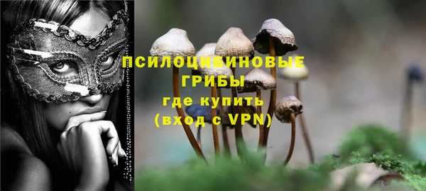 apvp Елабуга
