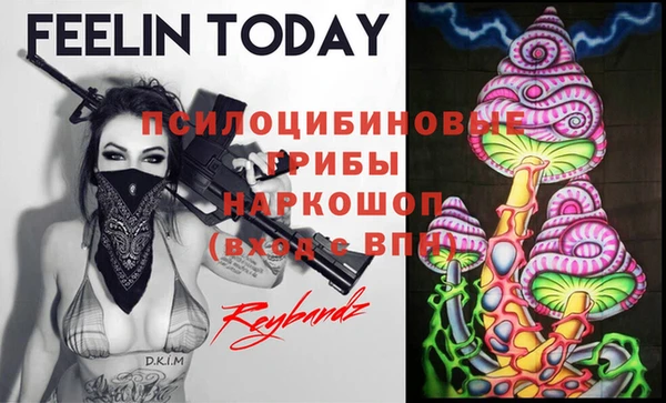 не бодяженный Ельня