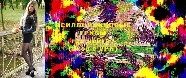 apvp Елабуга