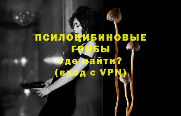 apvp Елабуга