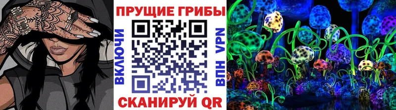Псилоцибиновые грибы мицелий  Черноголовка 