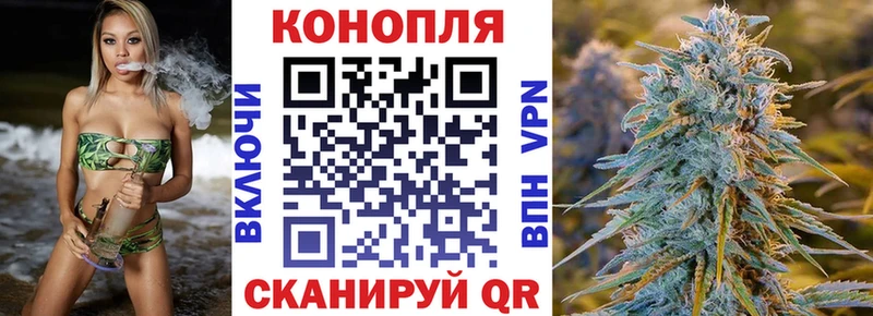 hydra tor  продажа наркотиков  Черноголовка  Канабис сатива 